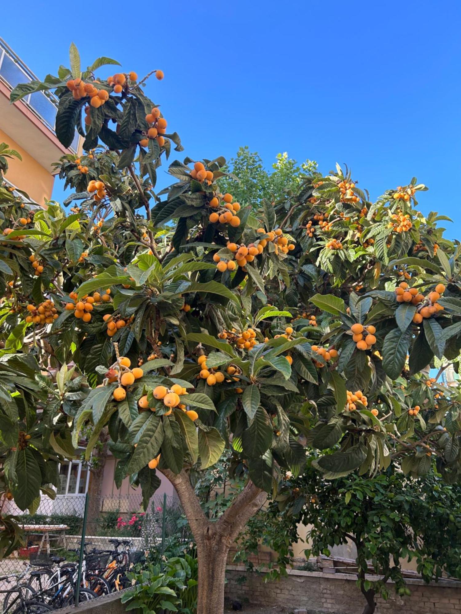 Appartamento Zona Residenziale, Due Passi Dal Mare Pescara Exterior photo